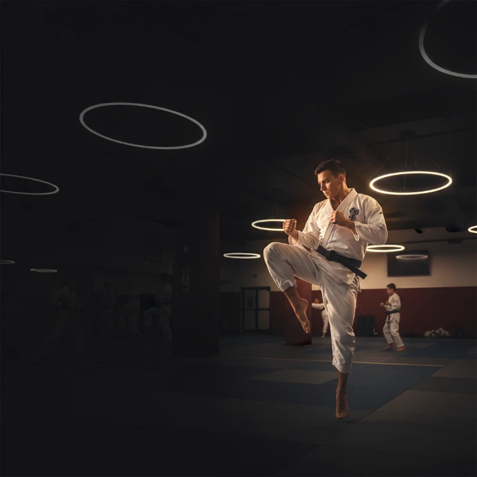 AI Generated Martial arts themed hero image - modern dojo